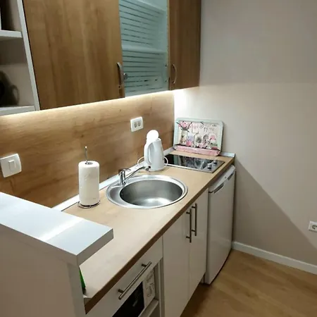 Apartment Solis *